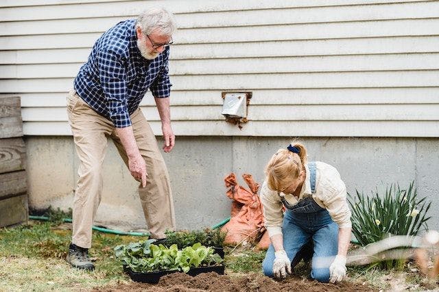 seniors gardening